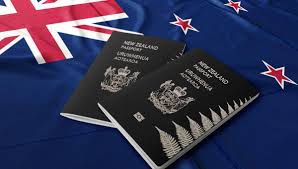asistencia técnica en Nueva Zelanda Visados Empresas